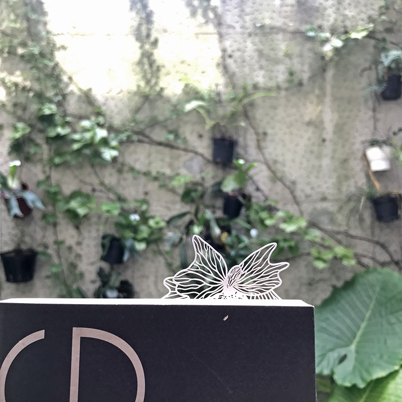 蕨類標本紙雕 二叉鹿角蕨 紙雕書籤｜只有蕨Fern Only 臺灣