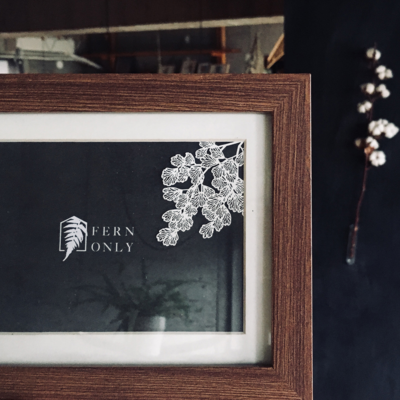 蕨類標本紙雕 鐵線蕨 紙雕書籤｜只有蕨Fern Only 臺灣