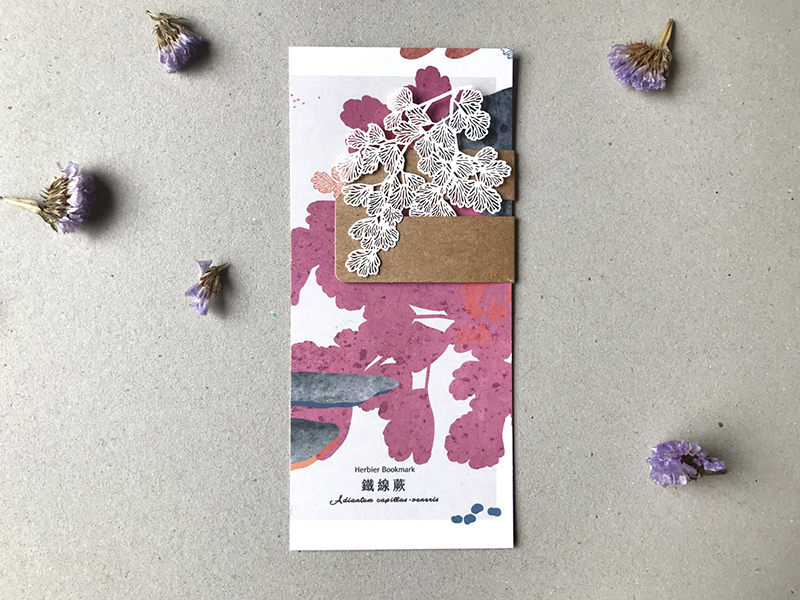 蕨類標本紙雕 鐵線蕨 紙雕書籤｜只有蕨Fern Only 臺灣