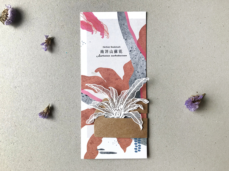 蕨類標本紙雕 南洋山蘇花 紙雕書籤｜只有蕨Fern Only 臺灣