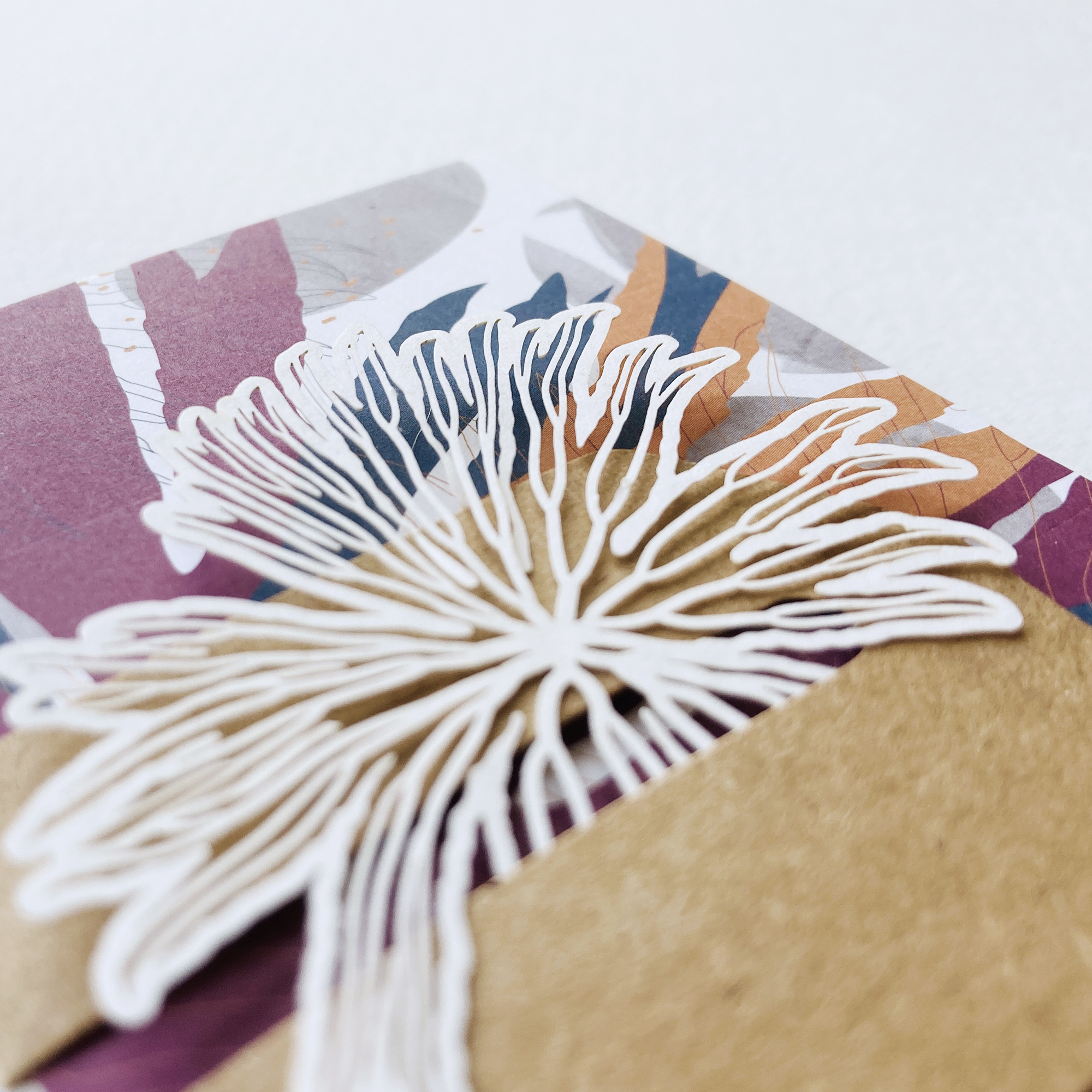 蕨類標本紙雕 雙扇蕨 紙雕書籤｜只有蕨Fern Only 臺灣