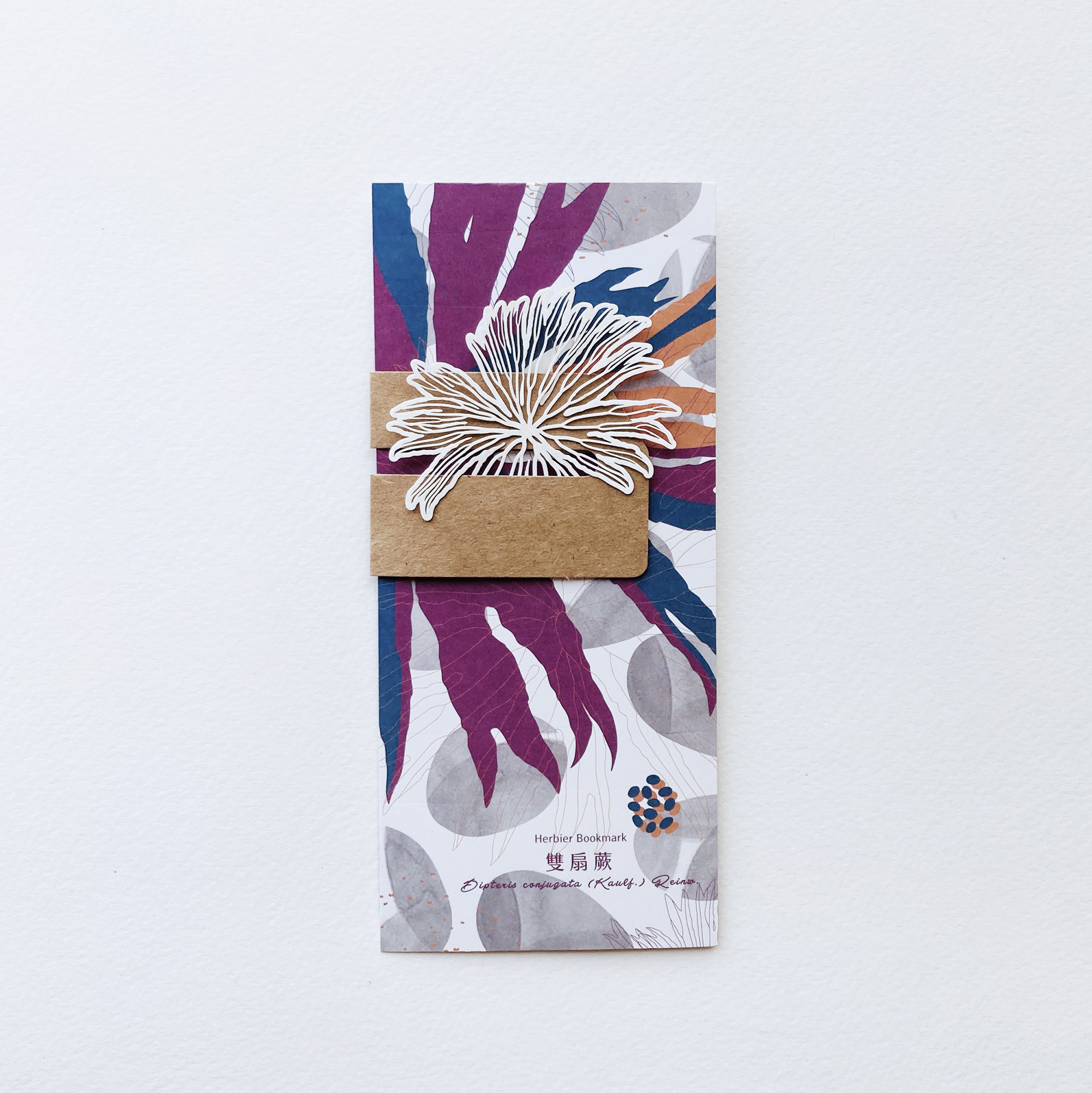 蕨類標本紙雕 雙扇蕨 紙雕書籤｜只有蕨Fern Only 臺灣