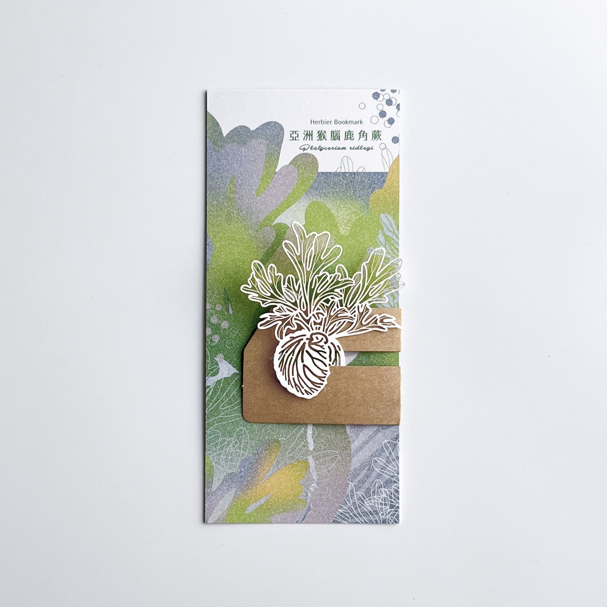 蕨類標本紙雕 猴腦鹿角蕨 紙雕書籤｜只有蕨Fern Only 臺灣