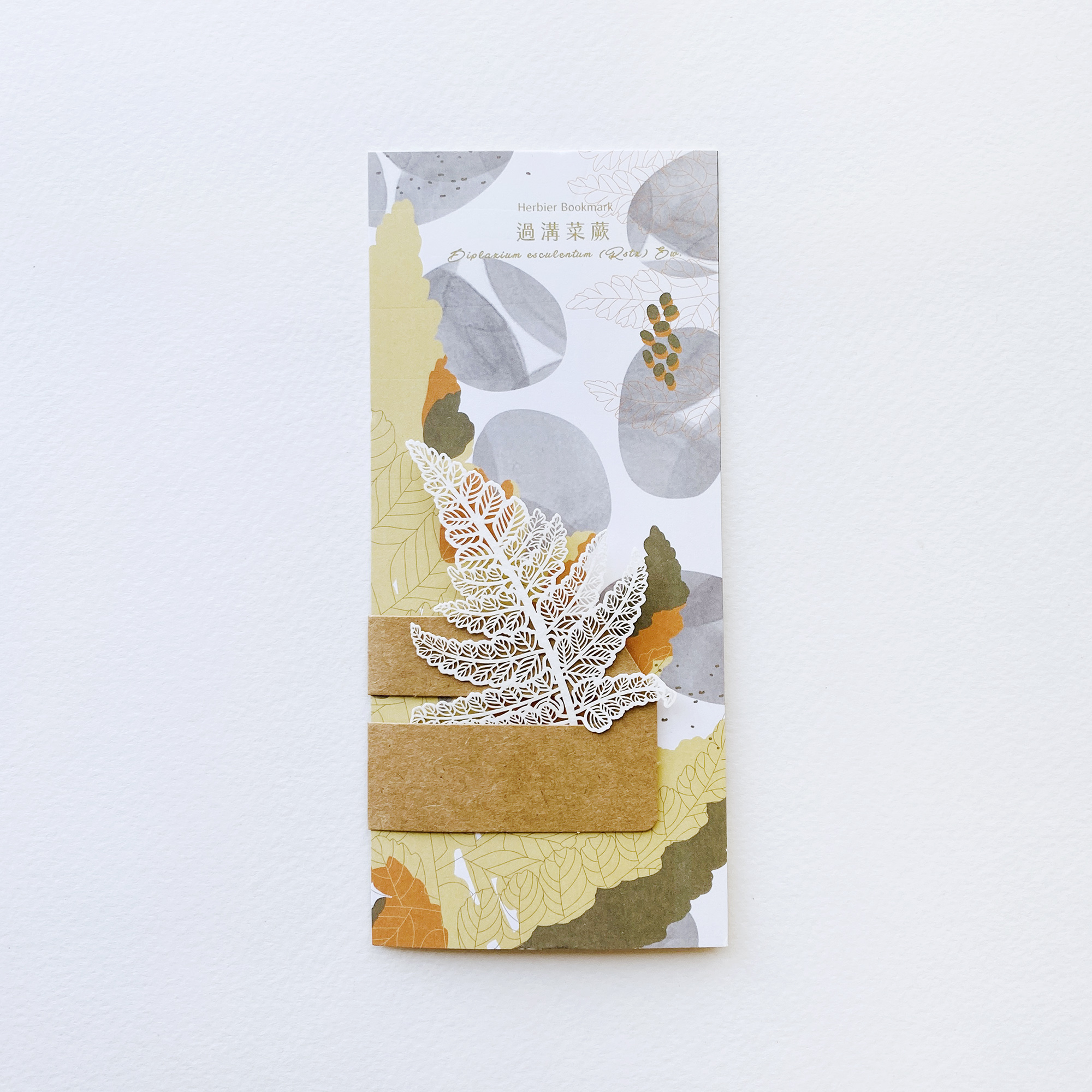 蕨類標本紙雕 過溝菜蕨 紙雕書籤｜只有蕨Fern Only 臺灣