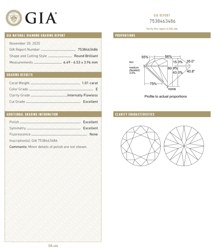 GIA鑽石 1.01 E IF 3EX NON