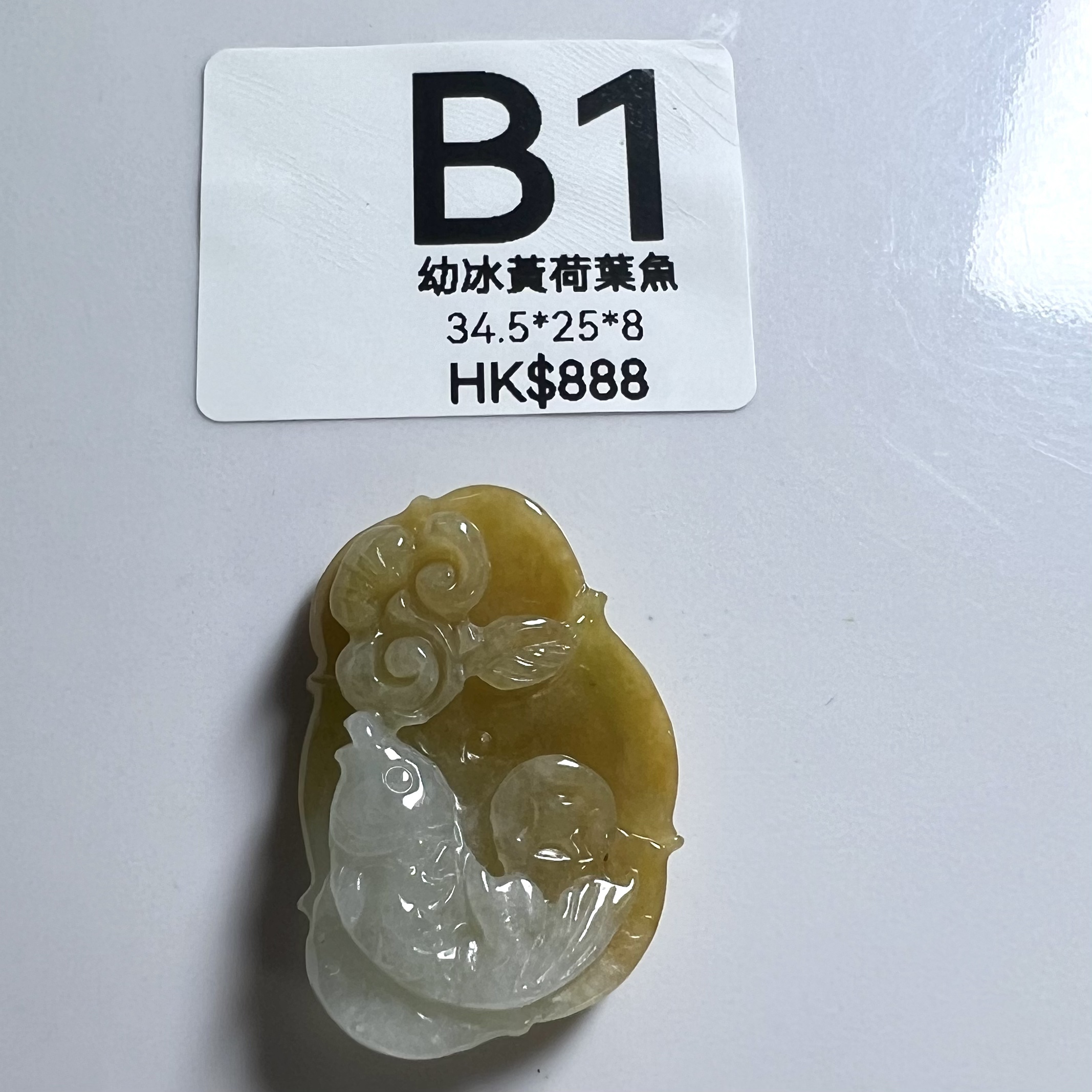 UL001 B1 幼冰黃荷葉魚 34.5*25*8
