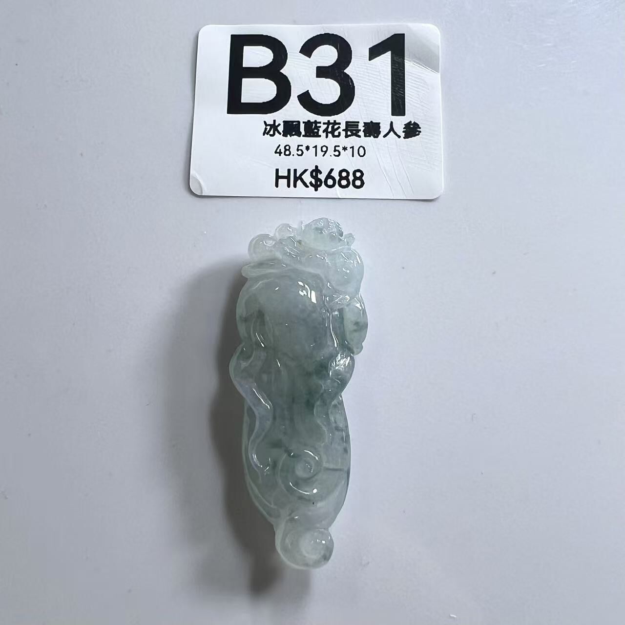 UL031 B31 冰飄藍花長壽人參 48.5*19.5*10