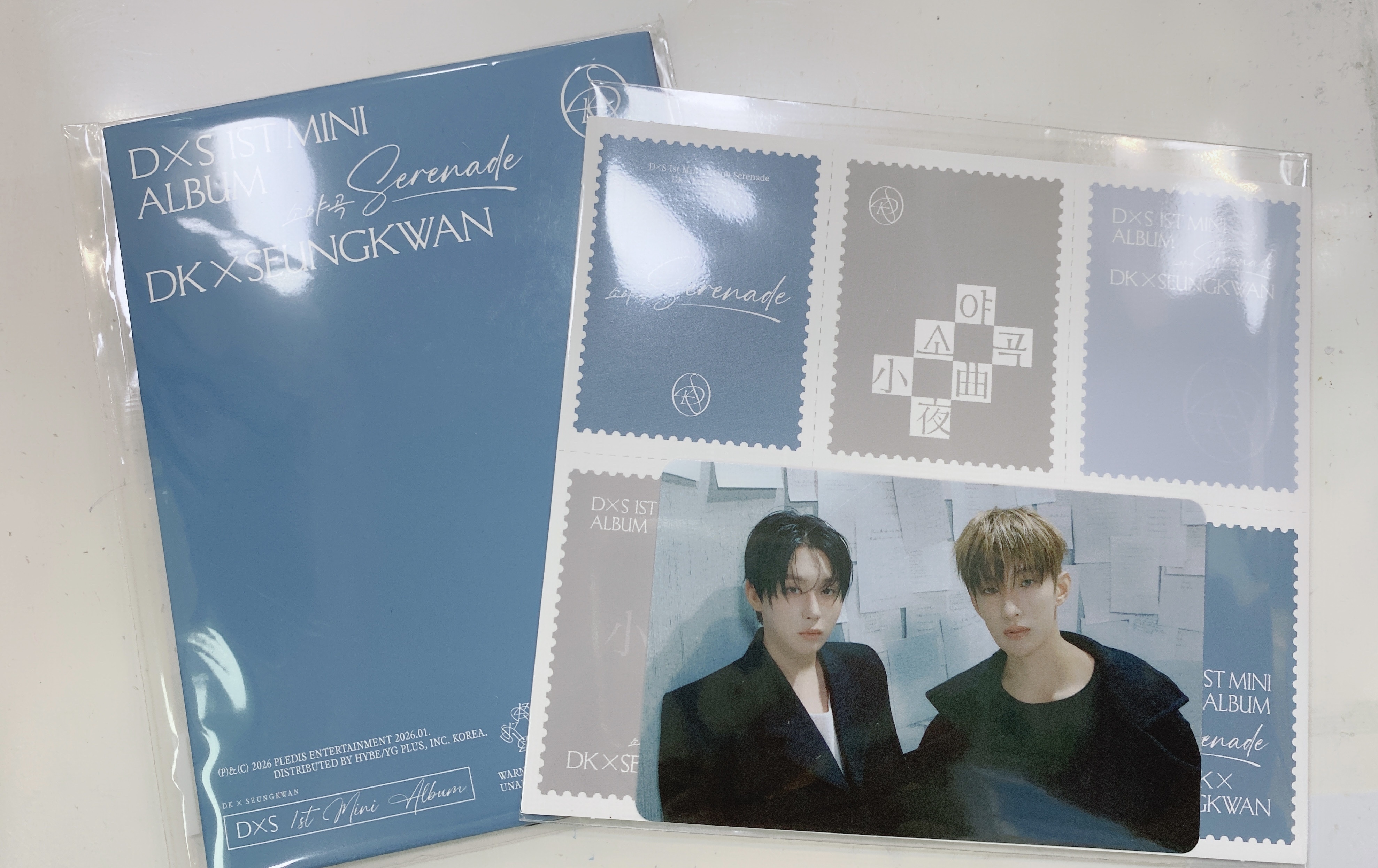 DXS Serenade WVS ver