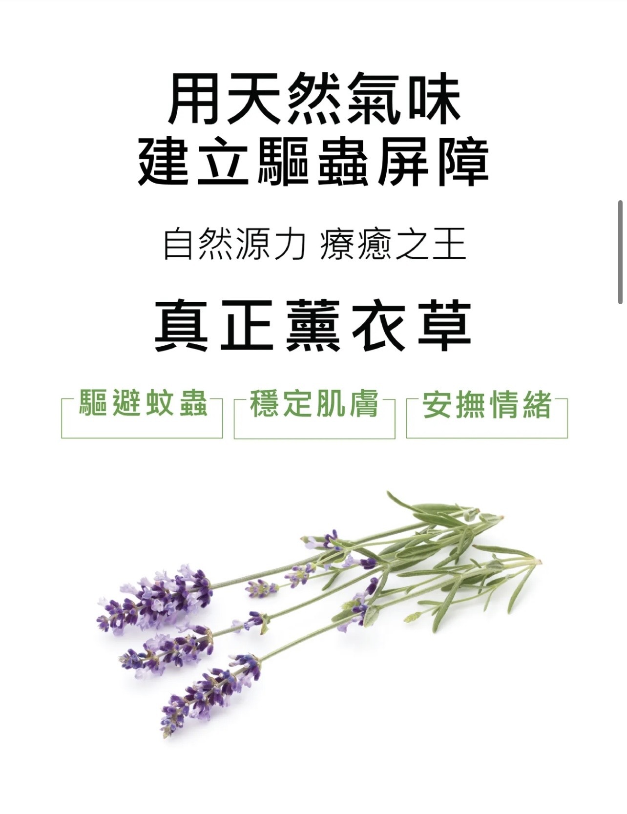 水魔素 深層淨化 除臭驅蟲洗毛精 500ml 薰衣草 台灣製造 | 寵物清潔 | 毛孩家庭必備