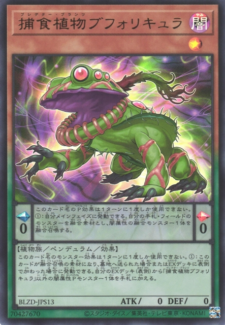 BLZD-JPS13 (UR)捕食植物ブフォリキュラ(捕食植物 土瓶草蟾蜍)