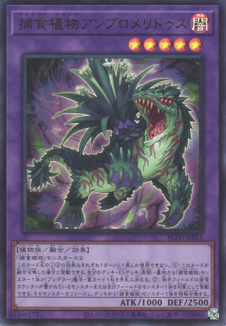 BLZD-JPS15 (UR)捕食植物アンブロメリドゥス(捕食植物 鳳梨走鯨)