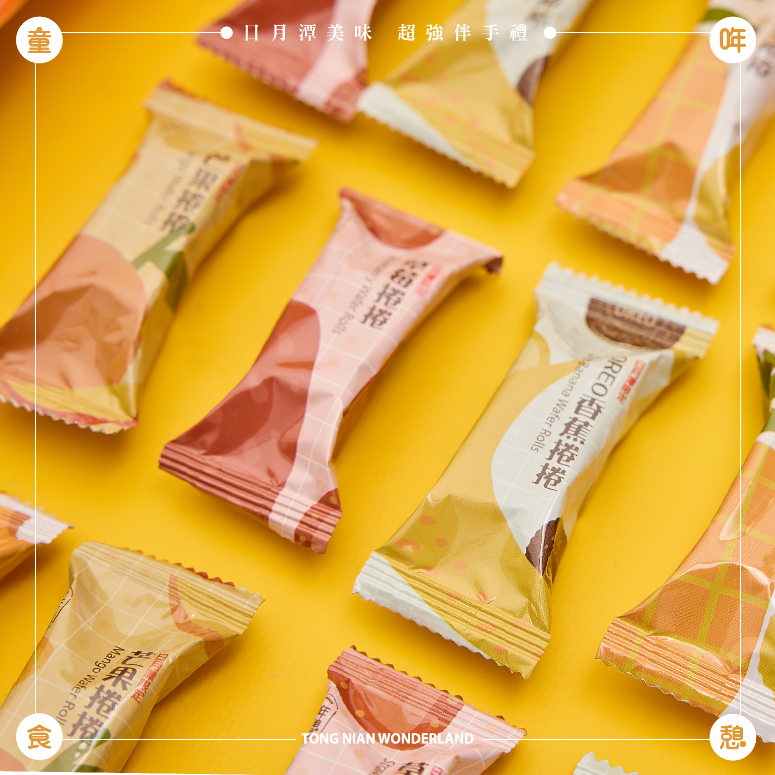 綜合分享包_四季豐收