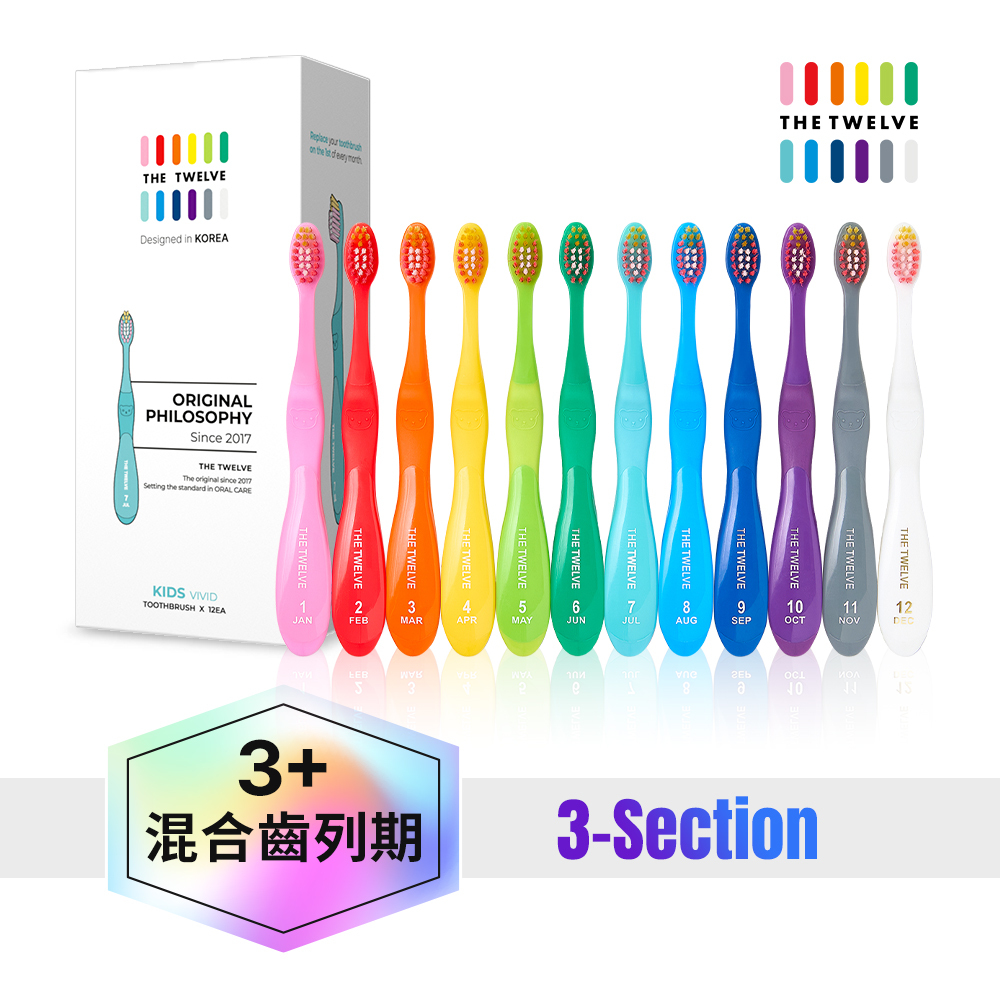 【02/03陸續出貨】The Twelve Step3兒童月更牙刷(3歲以上)_  12入盒裝(彩虹系)|幼稚園幼兒園牙刷|小學牙刷|兒童牙刷