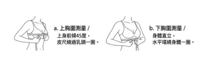 上下胸圍量測