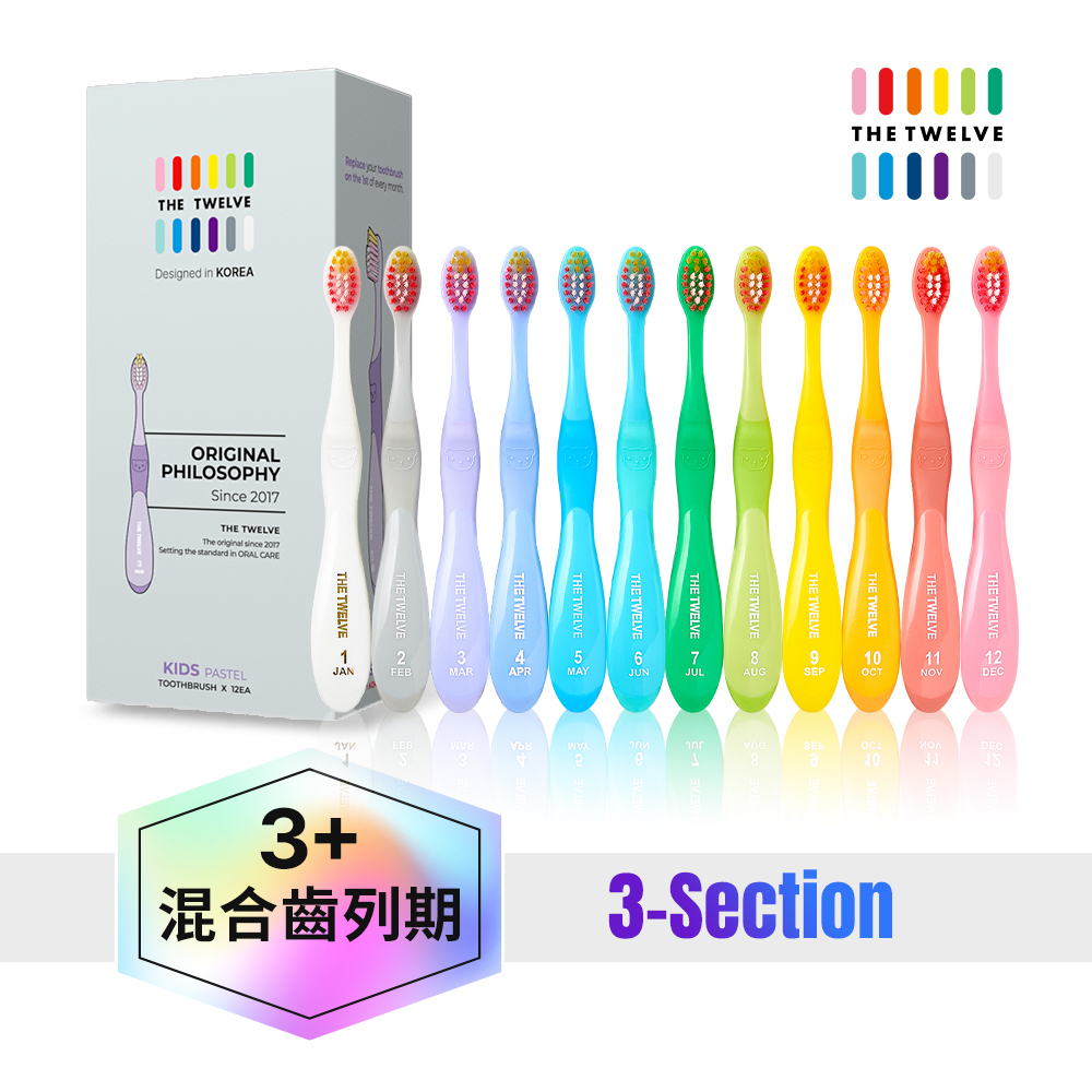 【02/03陸續出貨】The Twelve Step3兒童月更牙刷(3歲以上)_  12入盒裝(馬卡龍系)|幼稚園幼兒園牙刷|小學牙刷|兒童牙刷