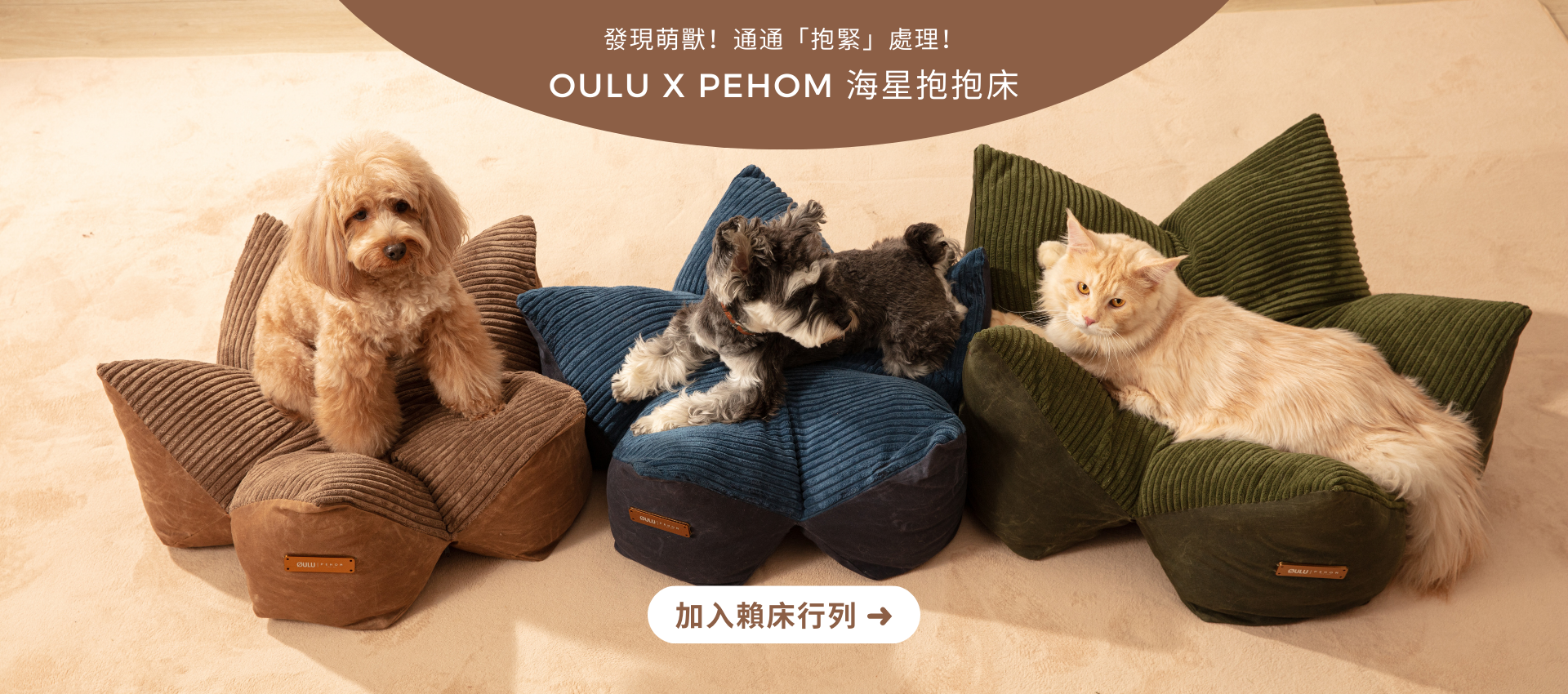 OULU X PEHOM 海星抱抱床