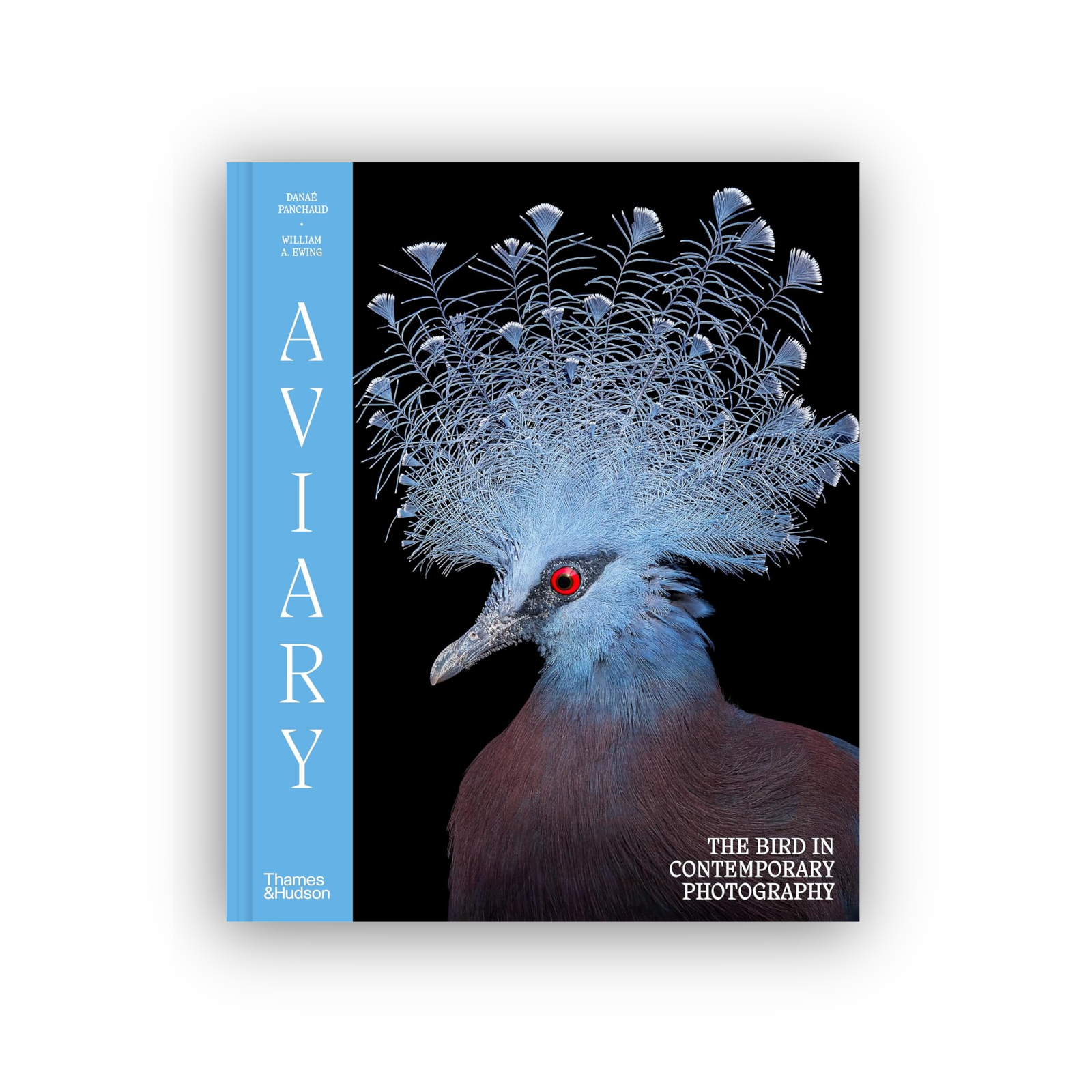 Aviary: The Bird in Contemporary Photography