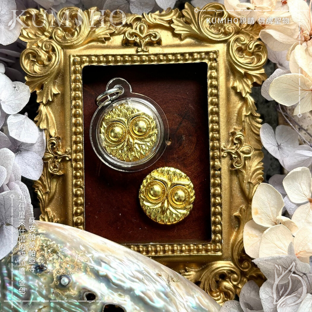 金色貓頭鷹，帶你抓住關鍵的那一刻。