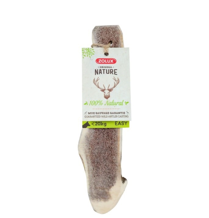 Zolux 鹿角系列．幼犬