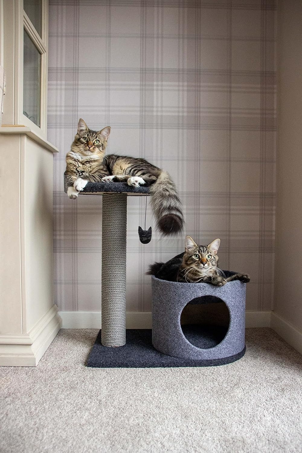 Rosewood 貓傢俬．House and Perch