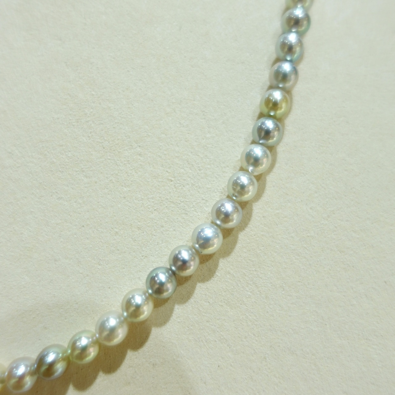 5-5.5mm 天然糖果色Akoya珍珠項鏈