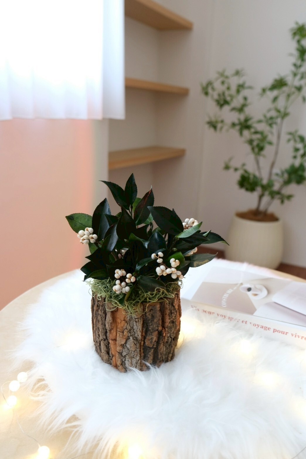 永生盆花 / 桂花葉樹皮桶