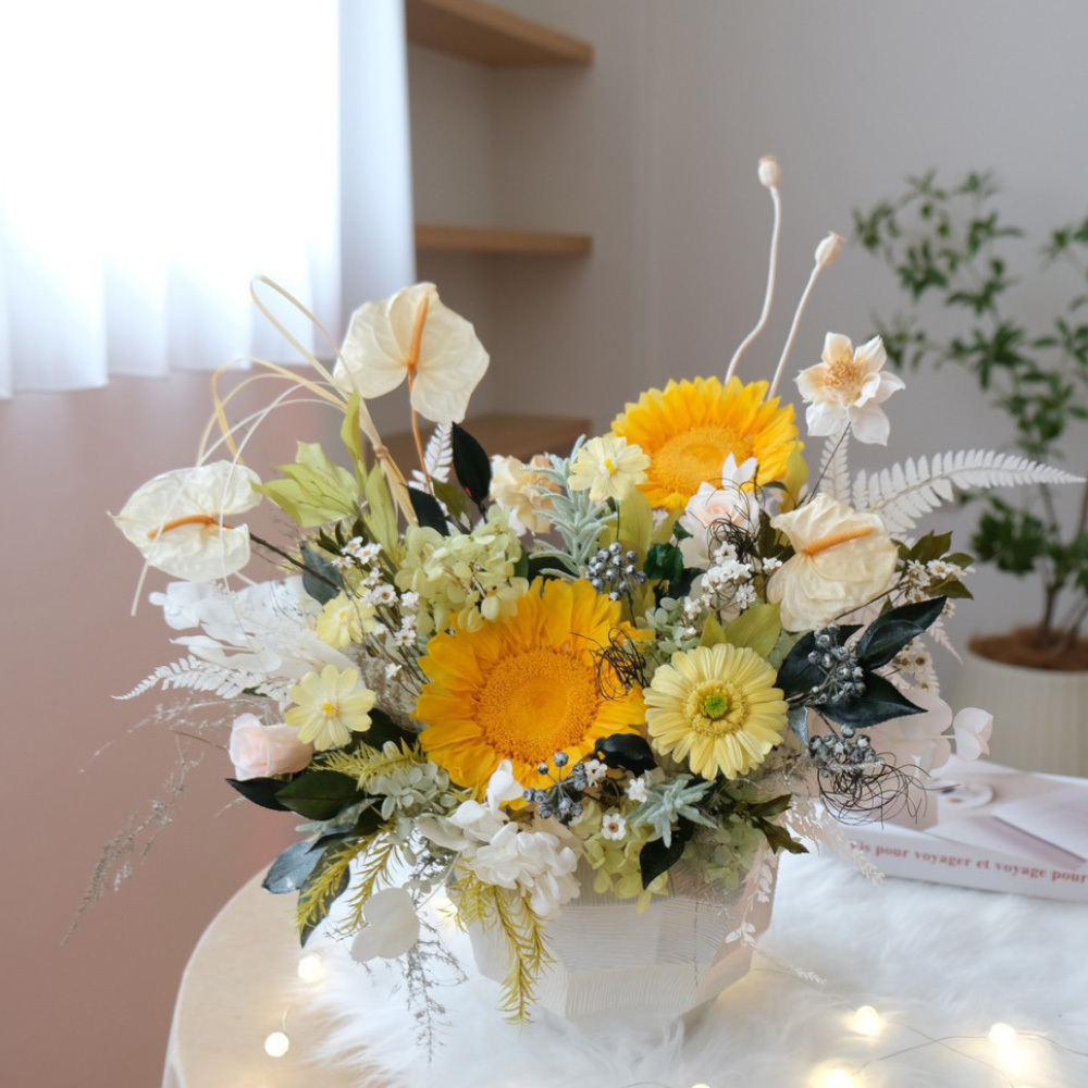 精品向日葵永生盆花（XL)