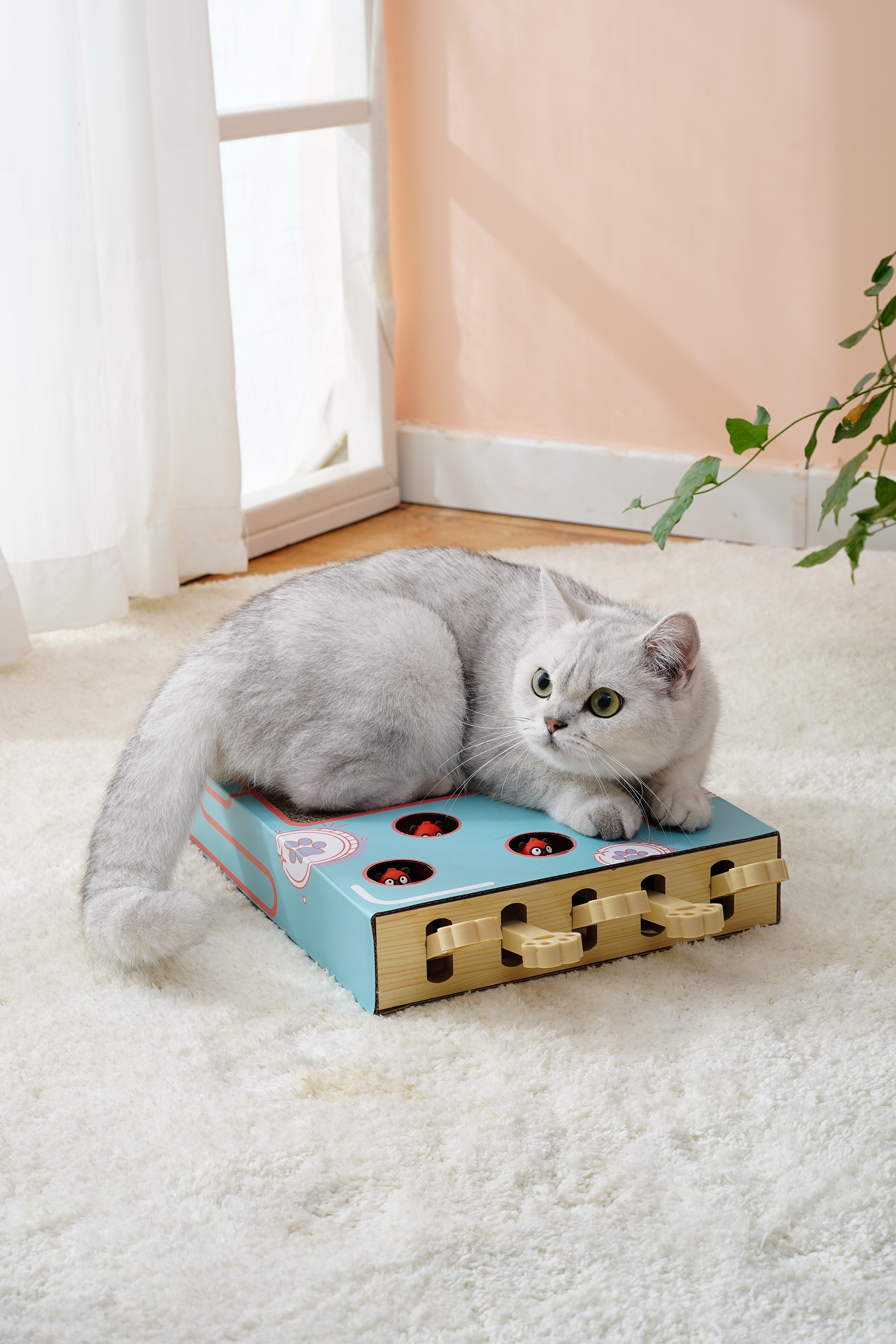 喵仙兒-抓抓貓瘋狂玩具盒