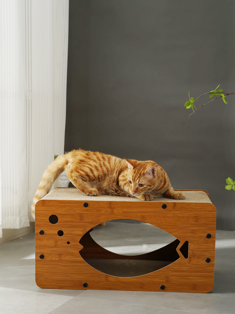 喵仙兒-小魚仔瓦楞紙貓抓窩