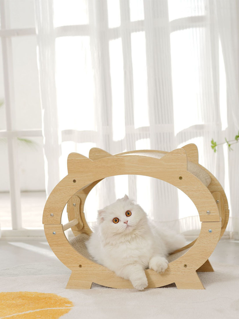 喵仙兒-迷你電視機貓抓窩