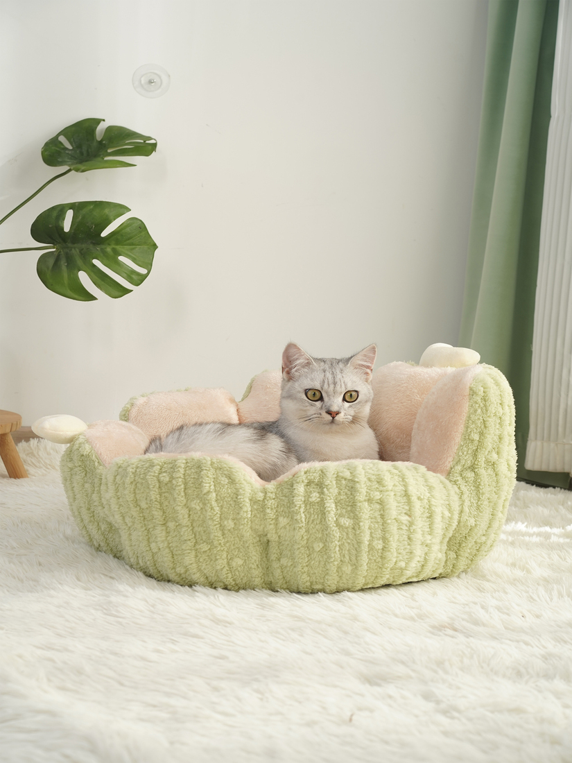 喵仙兒-仙人掌毛絨寵物睡窩