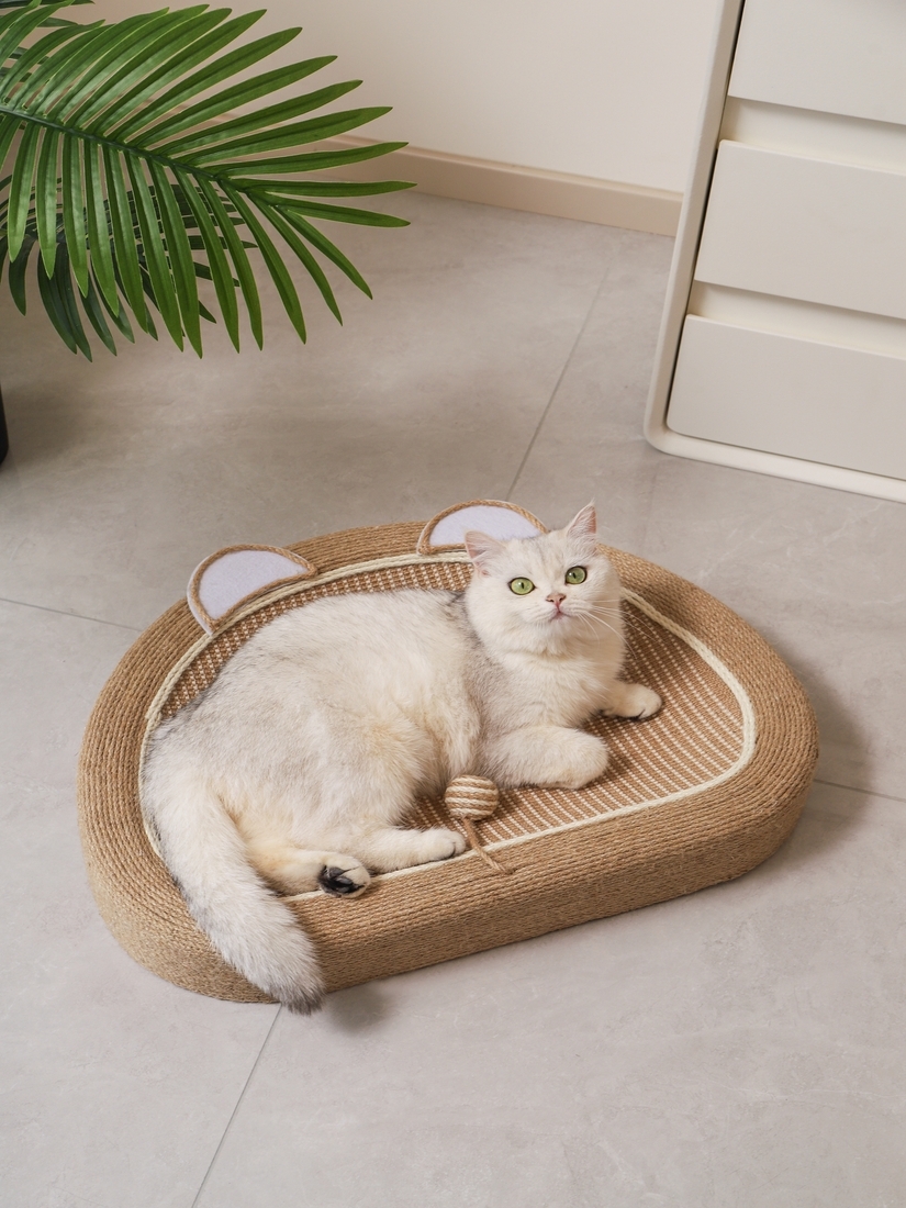 喵仙兒-飯糰熊劍麻貓抓窩