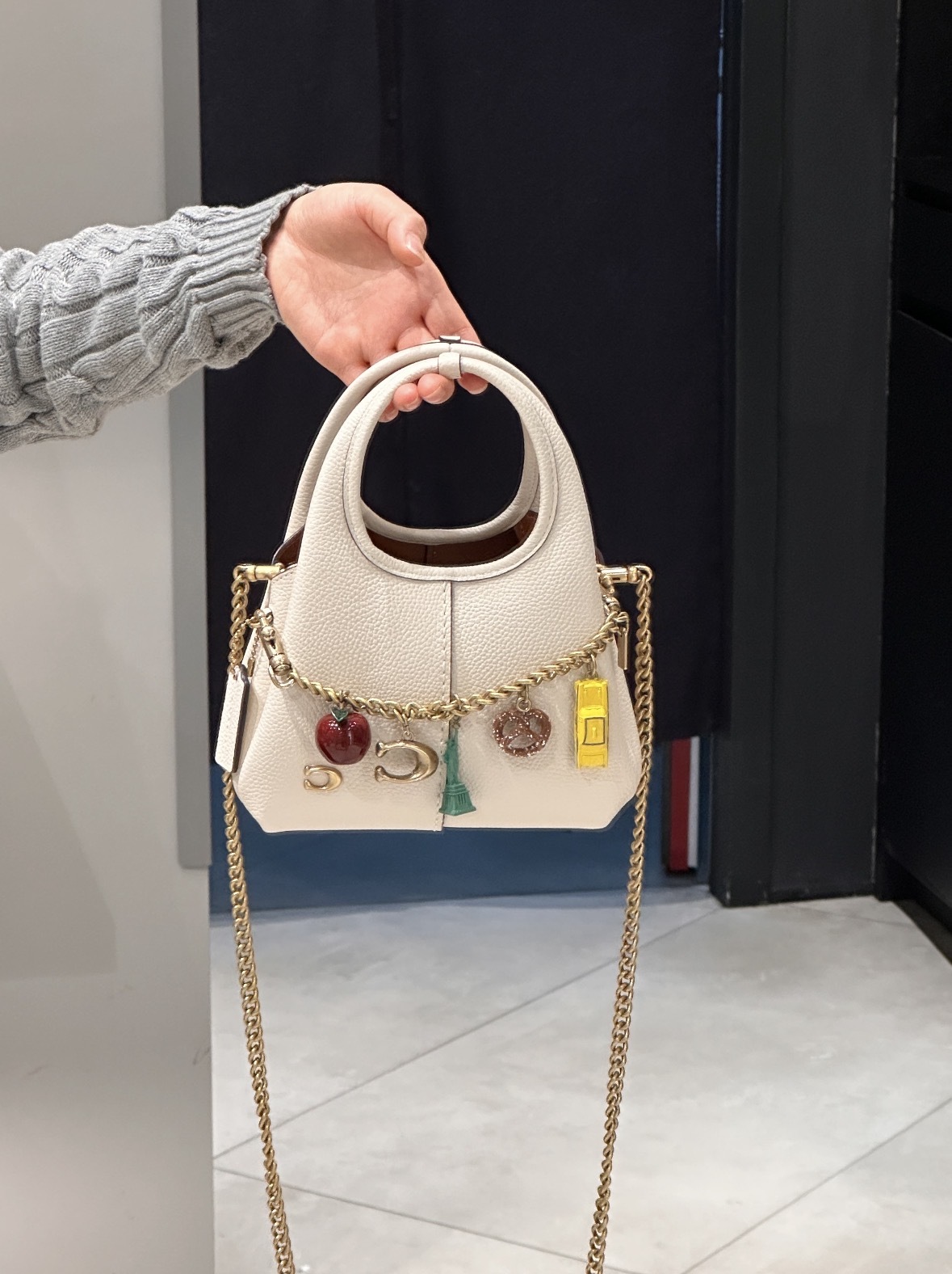 （預購）COACH LANA 19 荔枝皮 麂皮 手提側背包 5色