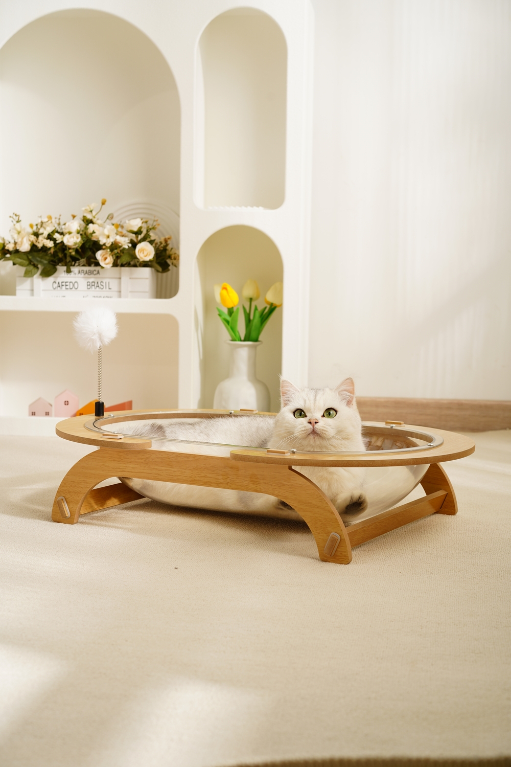 喵仙兒-木星漫遊太空艙貓窩