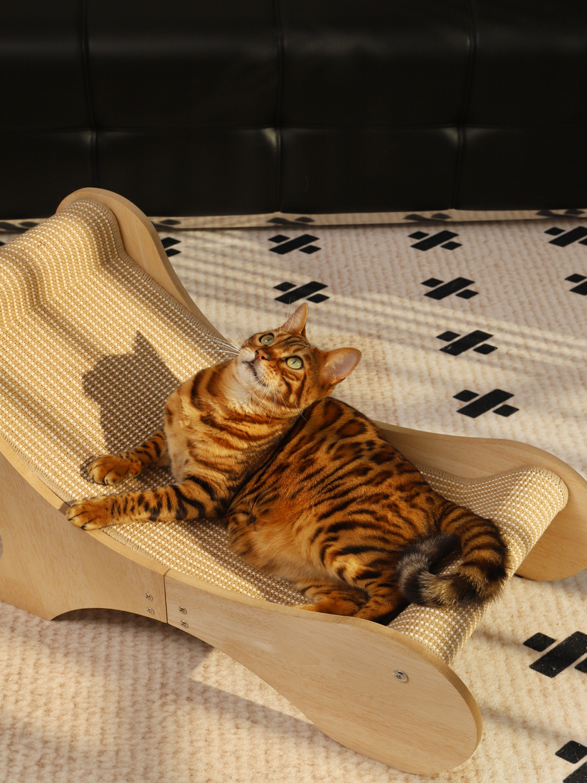 喵仙兒-潤潤流線劍麻貓抓椅