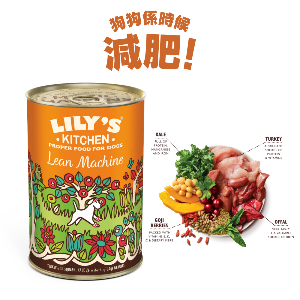 Lily's Kitchen – 減肥配方 (火雞+羽衣甘藍+枸杞) 天然狗狗無穀物配方犬用濕糧罐頭 (400g)  (PF012)