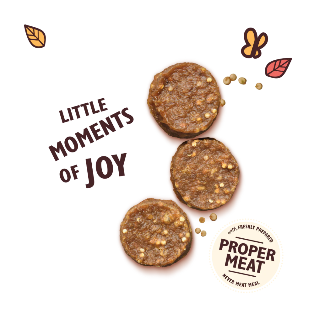 Lily's Kitchen - Chomp-Away Chicken Bites with Quinoa & Ginger (Dog Snacks) (70g) (PF009)