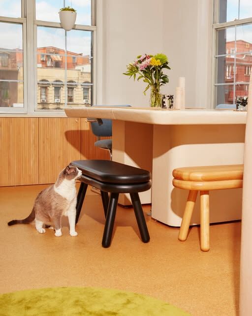 Pluma Bench,可以將其用作額外的座位、邊桌、用於玄關或床尾。