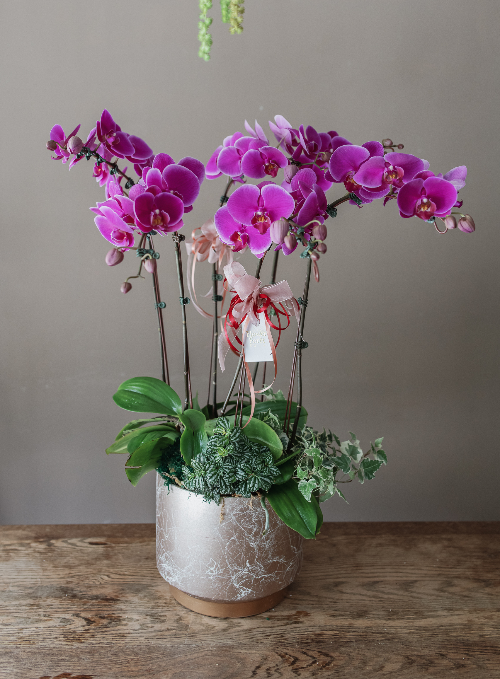 經典蘭花D款 | 桌花