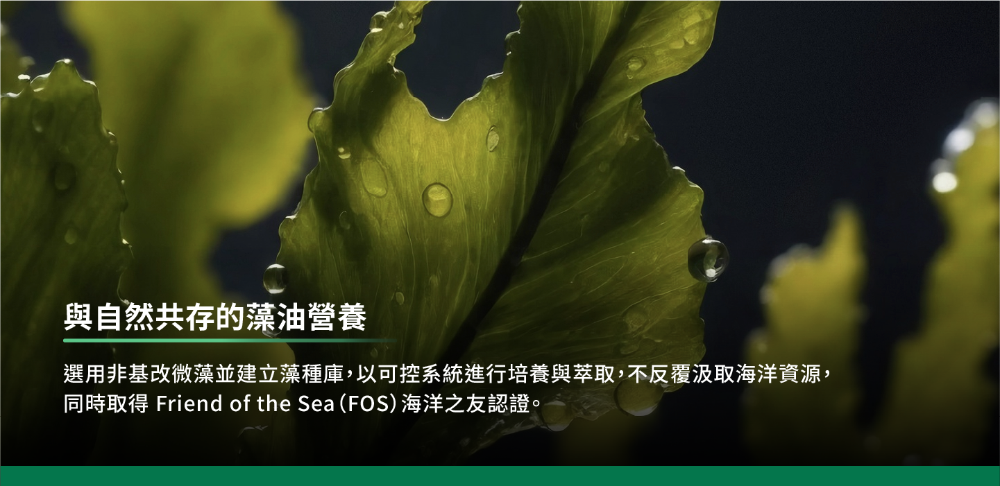 與自然共存的藻油營養