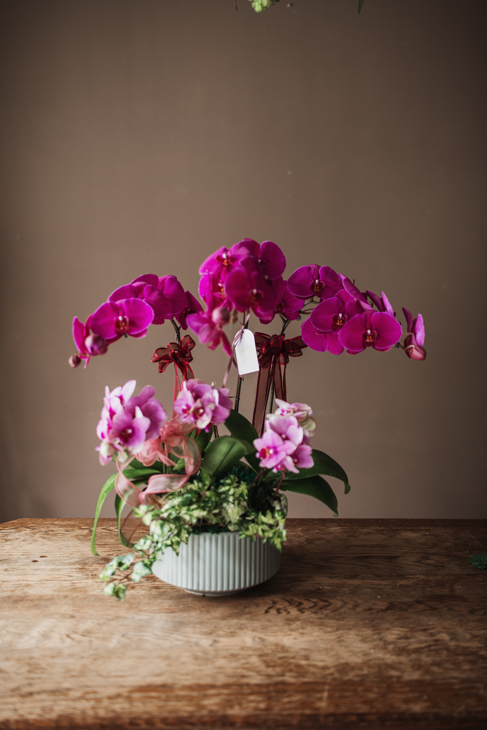 經典蘭花I款 | 桌花