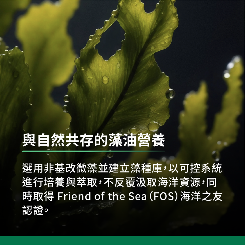 與自然共存的藻油營養