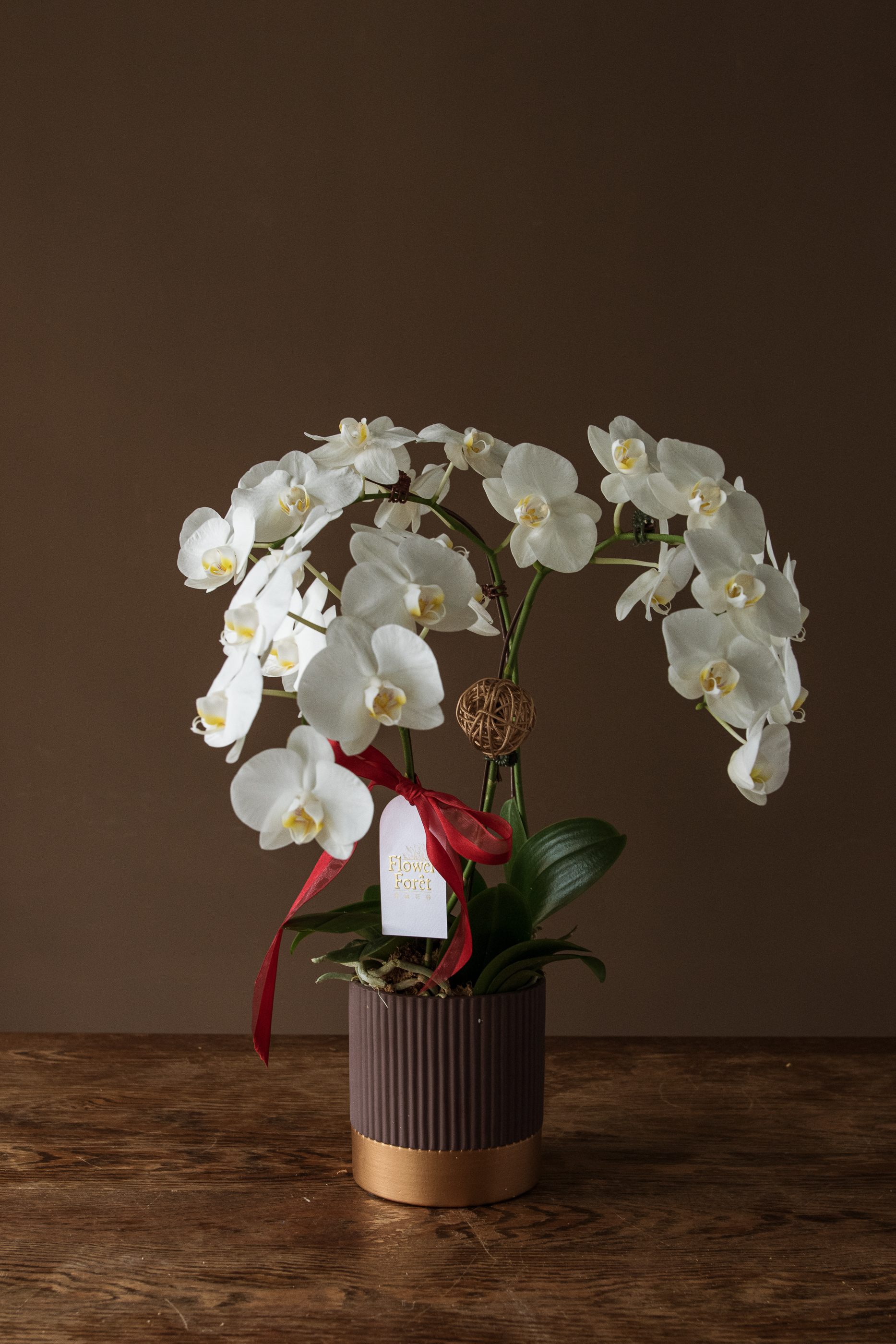 經典蘭花K款 | 桌花