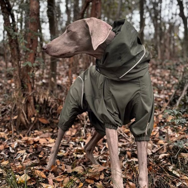 PETT2GO - 極輕機能風衣(四色）