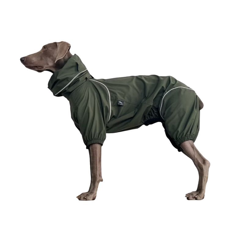 PETT2GO - 極輕機能風衣(四色）