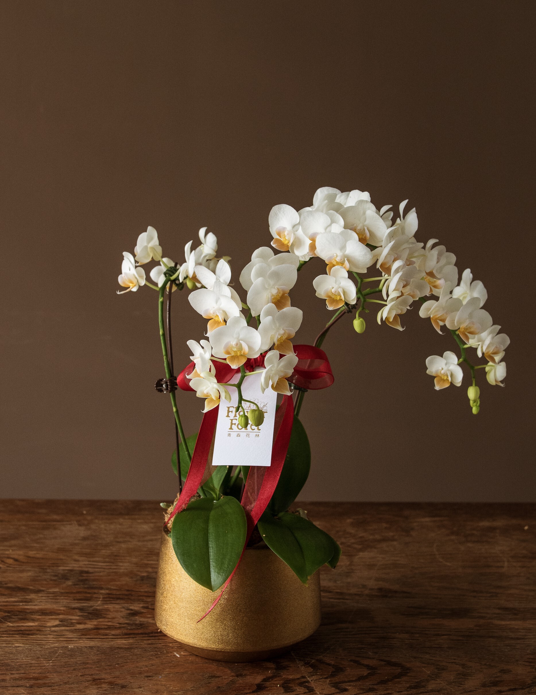 經典蘭花L款 | 桌花