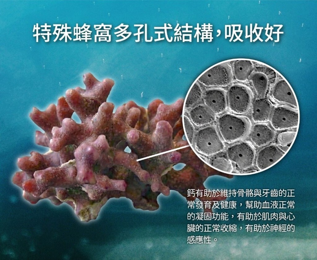 保健年禮當道 一錠健康白金級保健禮盒掀爆買潮
                    