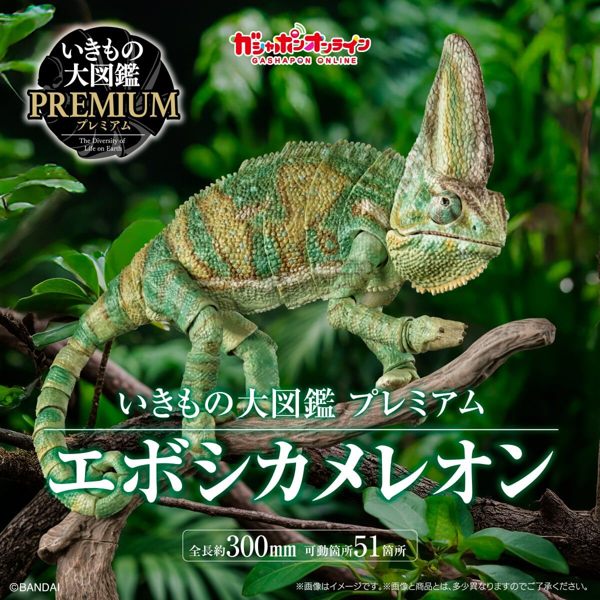 [魂SHOP限定] 生物大圖鑑 高冠變色龍  [GOL]THE DIVERSITY OF LIFE ON EARTH PREMIUM CHAMAELEO CALYPTRATUS