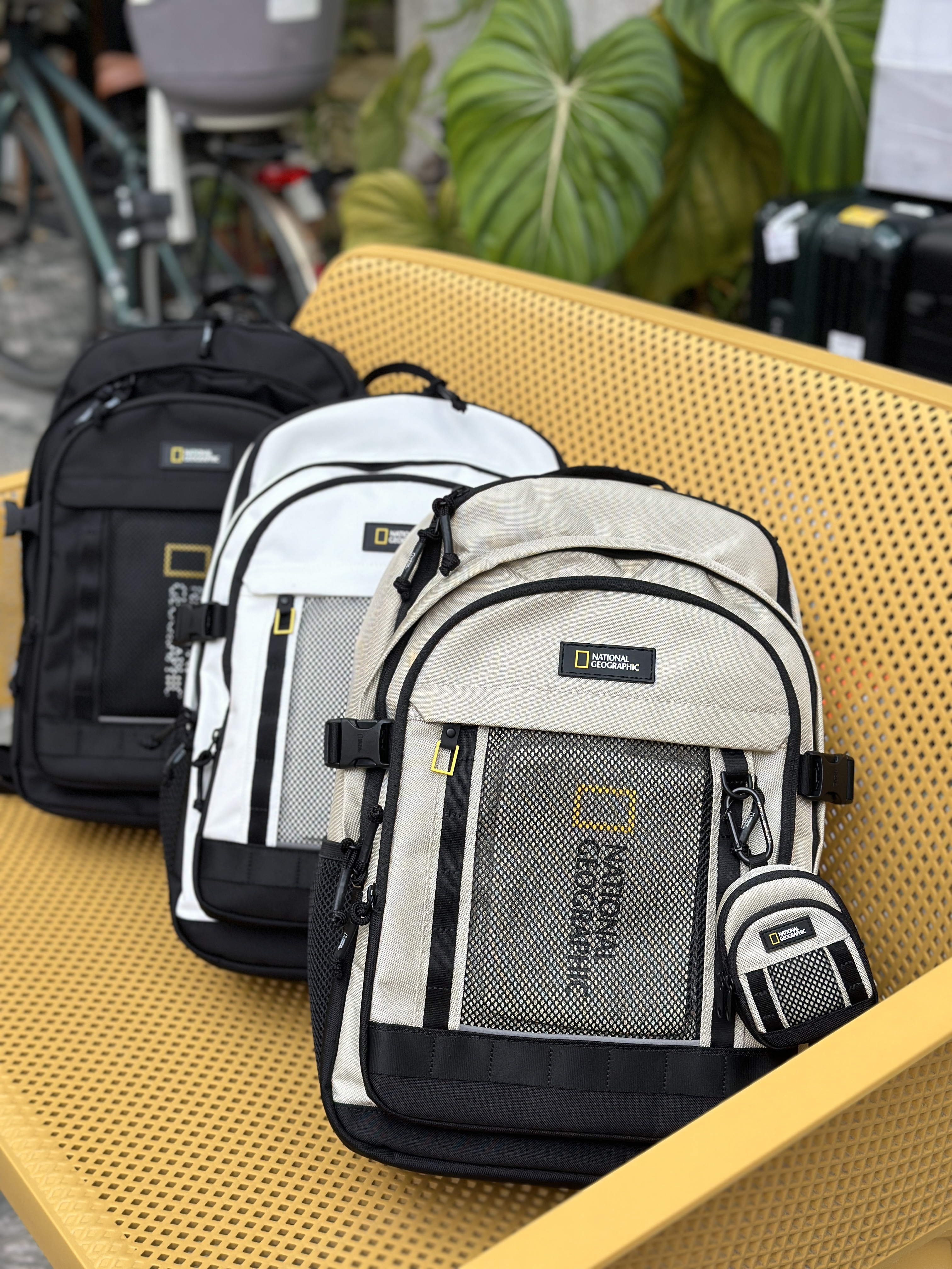 【現貨】NATIONAL GEOGRAPAHIC 國家地理 2026 Pachi後背包 25L 三色可選 N261ABG010