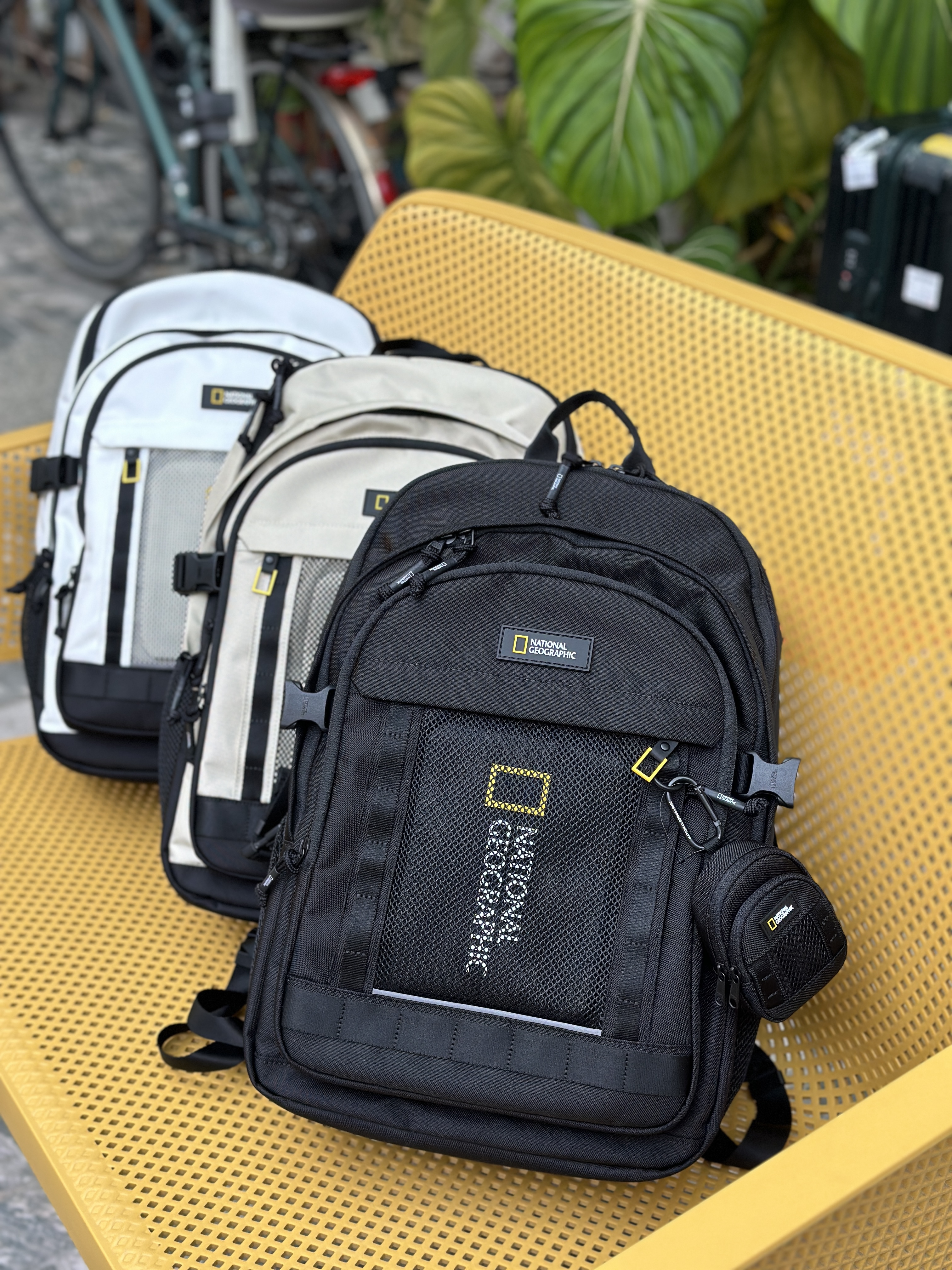 【現貨】NATIONAL GEOGRAPAHIC 國家地理 2026 Pachi後背包 25L 三色可選 N261ABG010